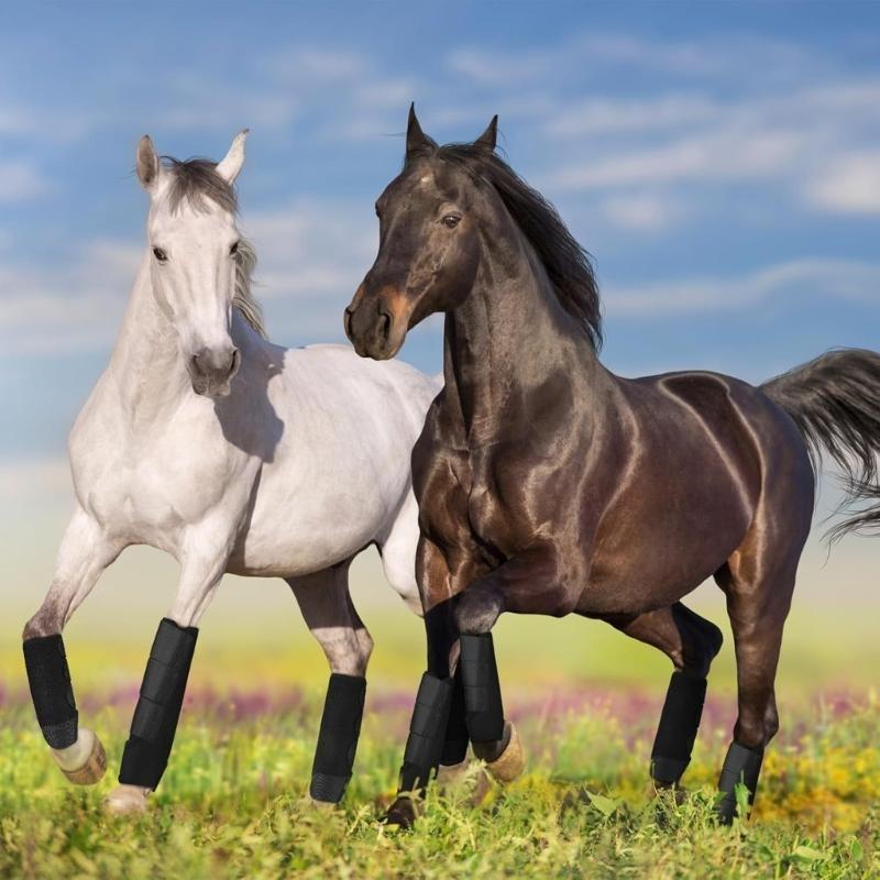 R6FE szczotkowanie buta konia  – Brushing Boot Horse recenzja i cena