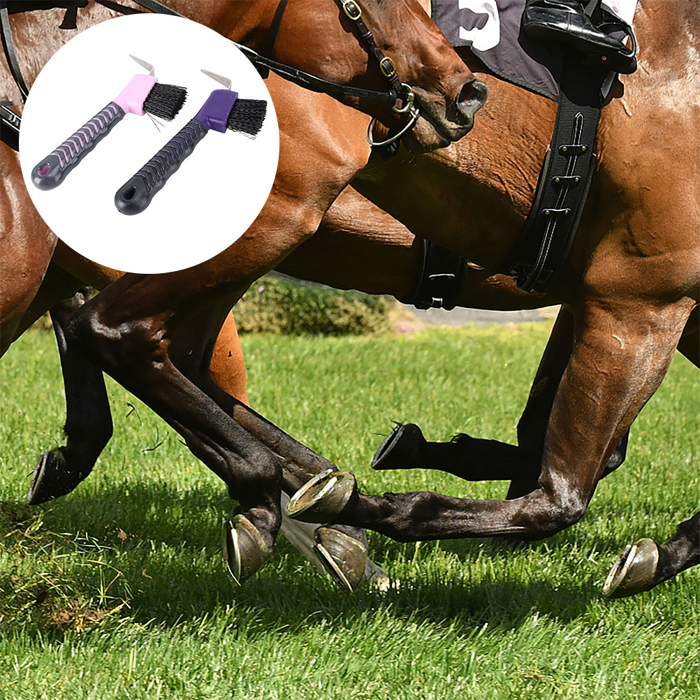 2 szt. Szczotka do pazurów kon – Brushing Boot Horse recenzja i cena