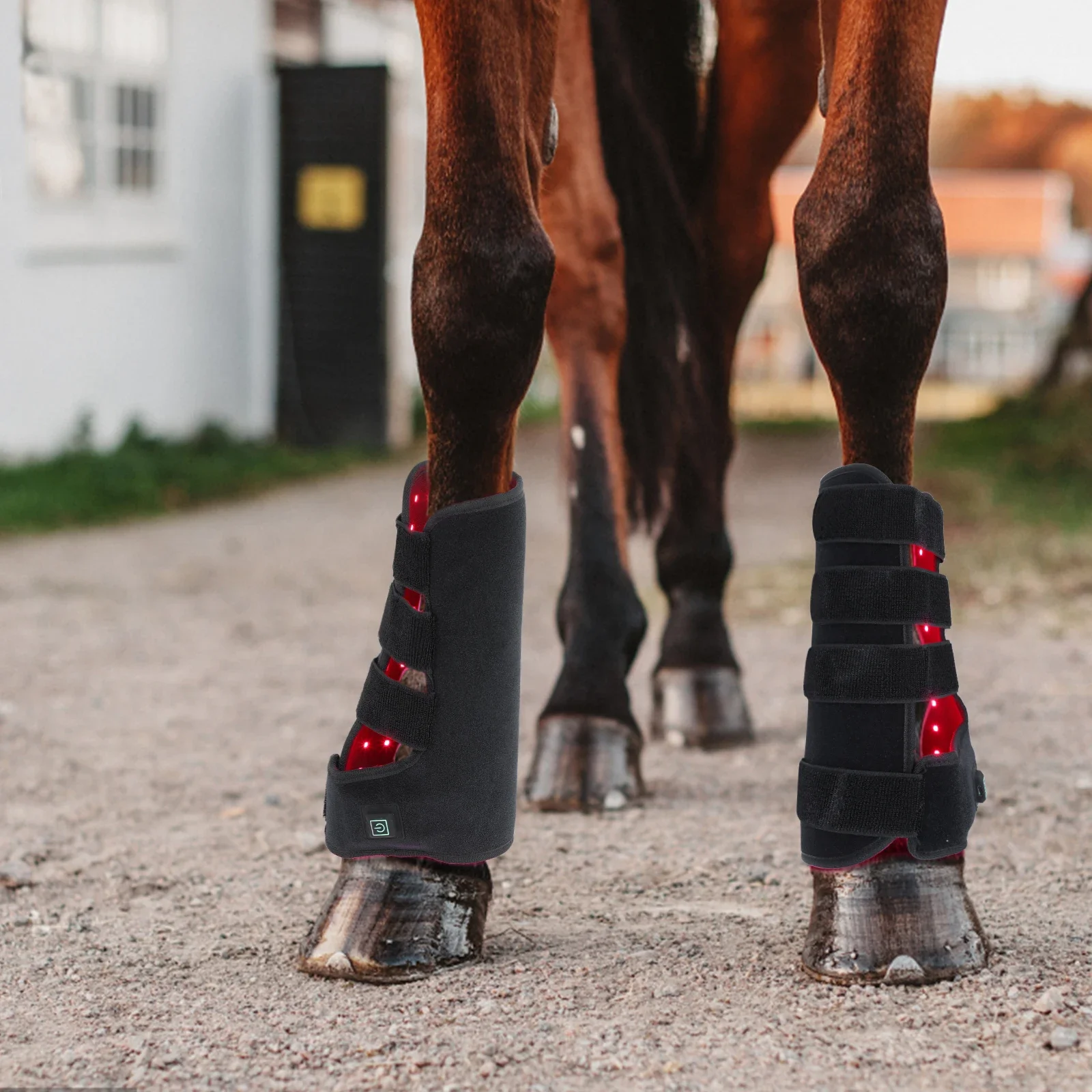 Nowe produkty do jazdy konnej  – Brushing Boot Horse recenzja i cena