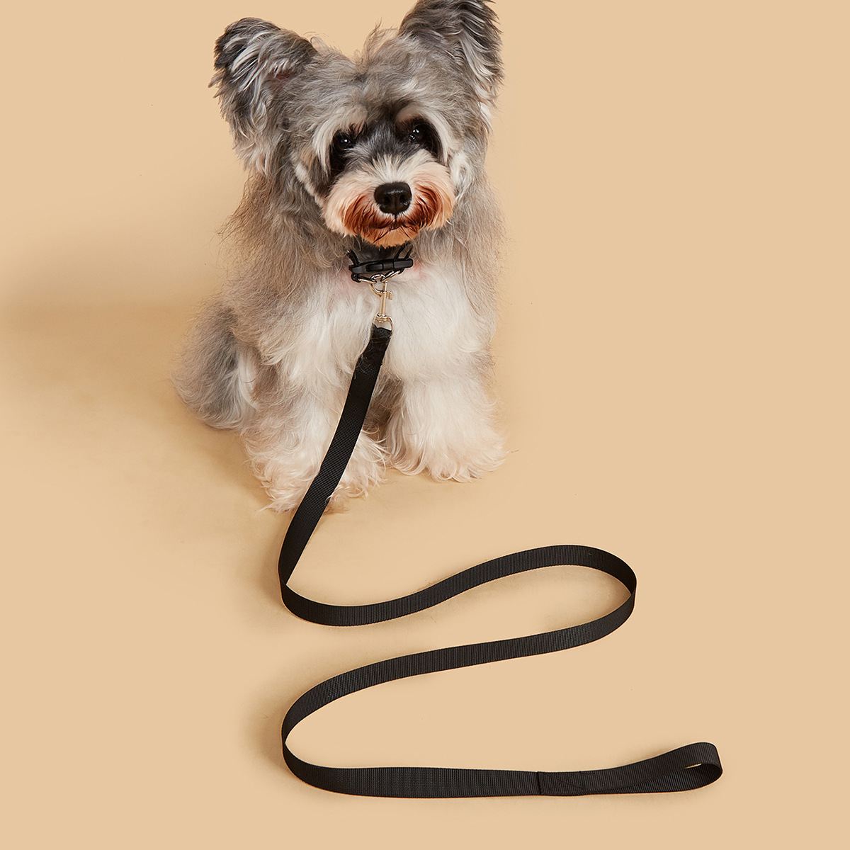 Zestaw smyczy i obroży dla zwi – Headcollar Rope Set recenzja i cena