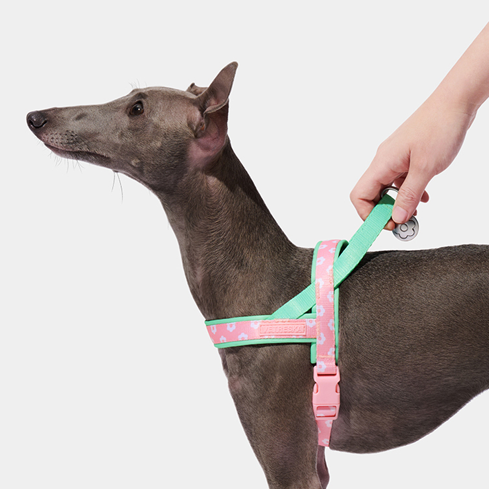 Luksusowy zestaw szelk i smycz – Headcollar Rope Set recenzja i cena